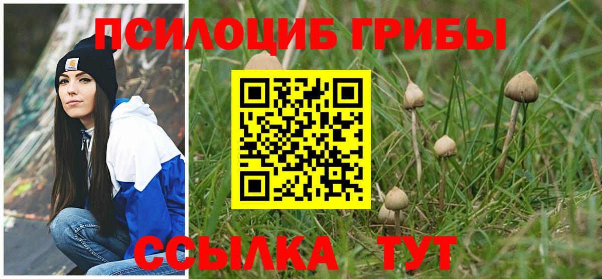 Галлюциногенные грибы Magic Shrooms Прокопьевск